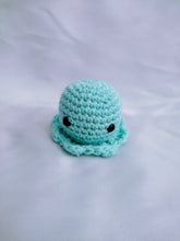 Load image into Gallery viewer, Amigurumi Octopus